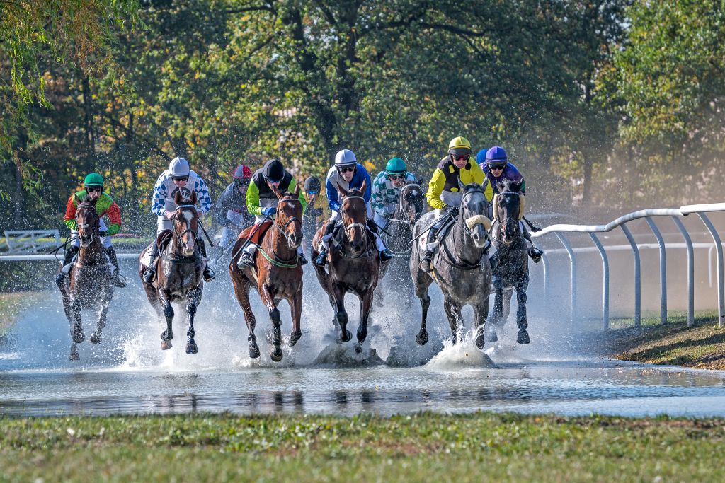 58 - 130. Velká pardubická