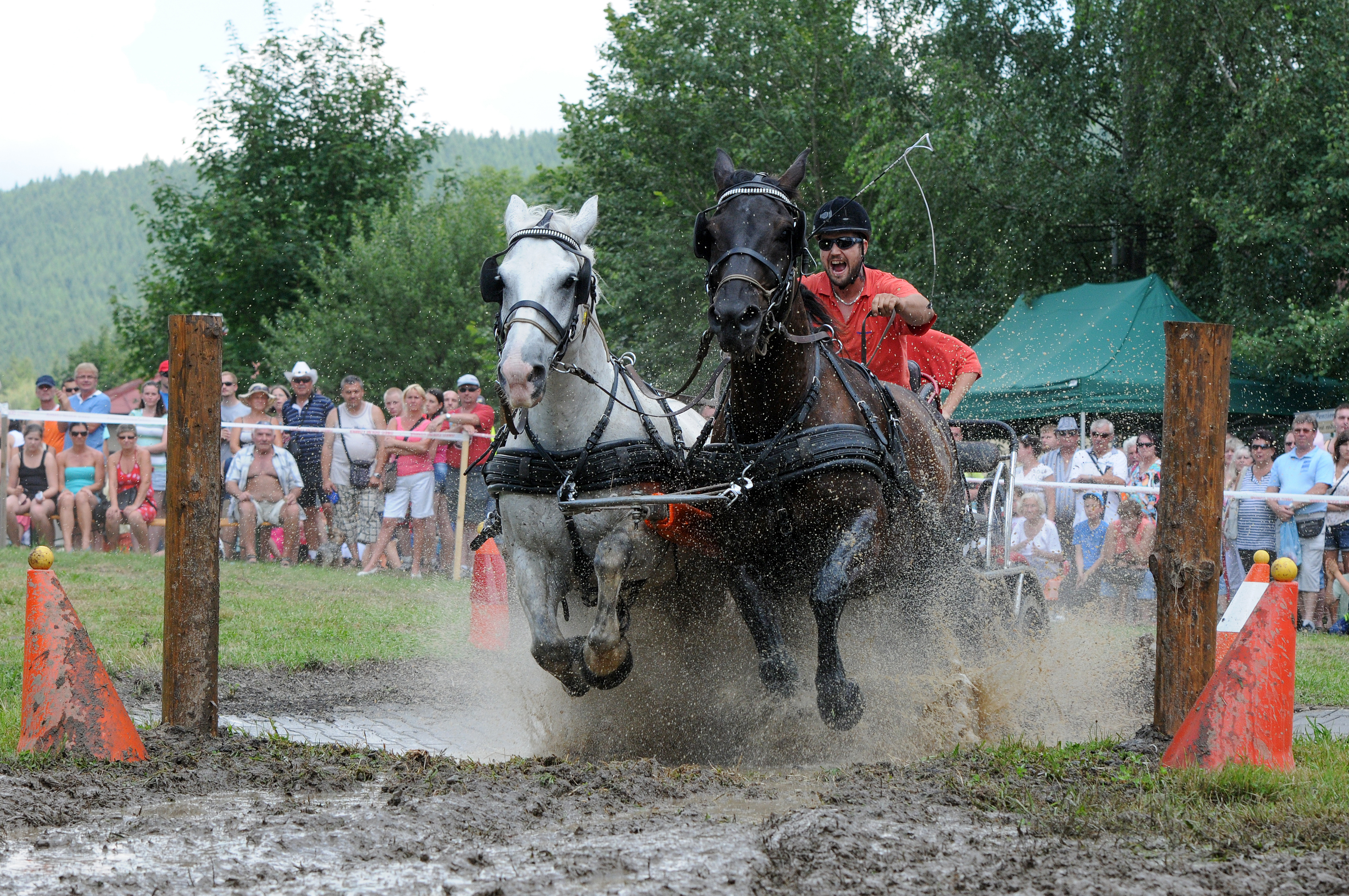 60 - Vozatajské závody