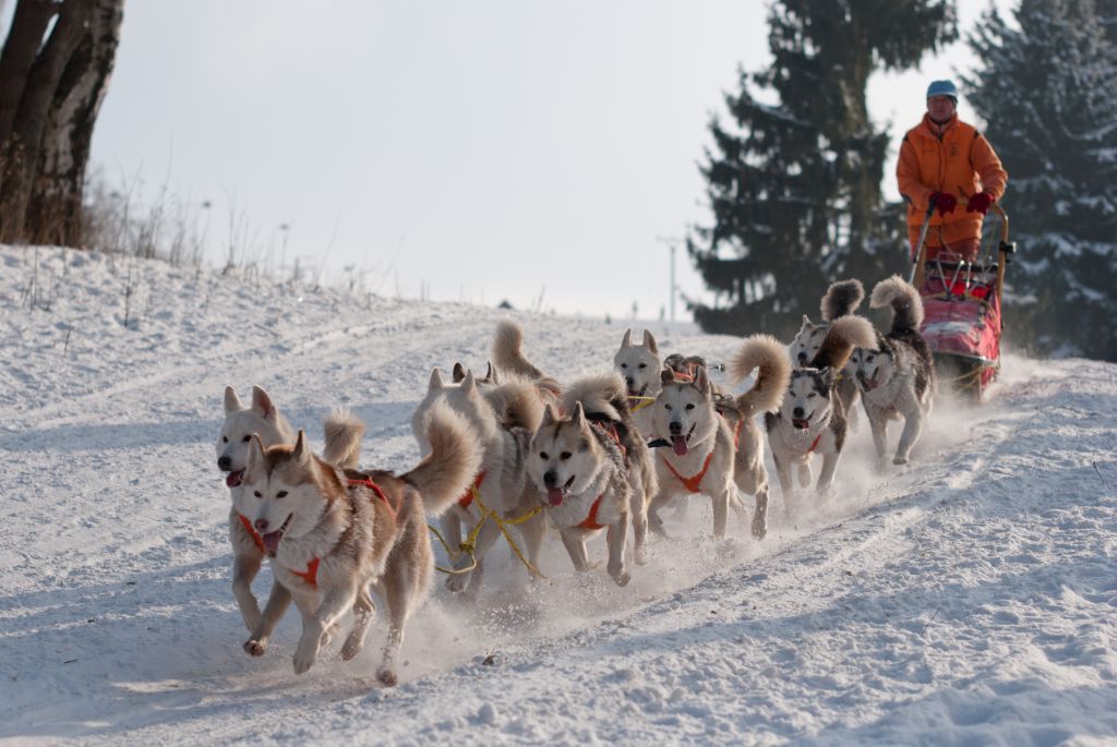 2022 - KK - Šediváčkův long